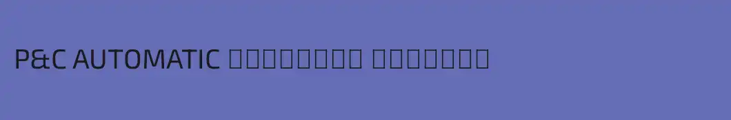 P&C AUTOMATIC Στέφανος Βασάλος
